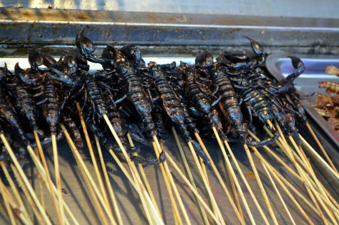 Insekten Kochkurs - kochen lernen - Insektenkochkurs